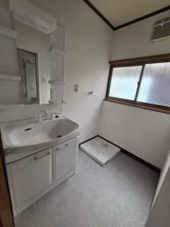 洗面　洗濯パン